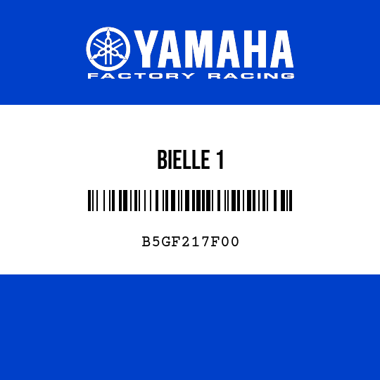 BIELLE 1