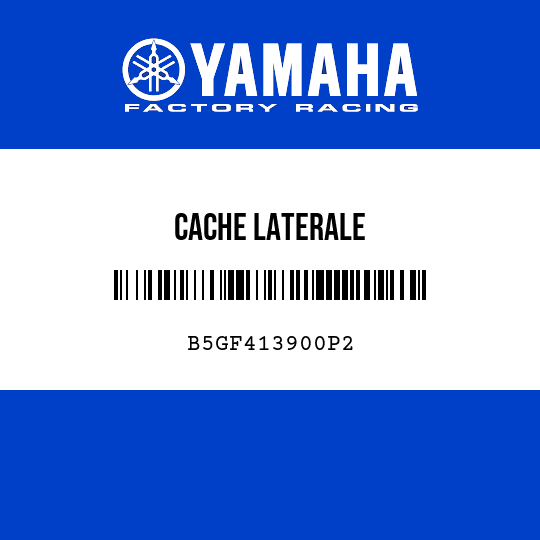 CACHE LATERALE