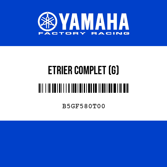 ETRIER COMPLET (G)
