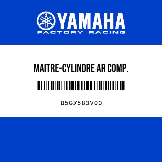 MAITRE-CYLINDRE AR COMP.