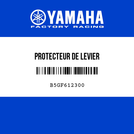 PROTECTEUR DE LEVIER