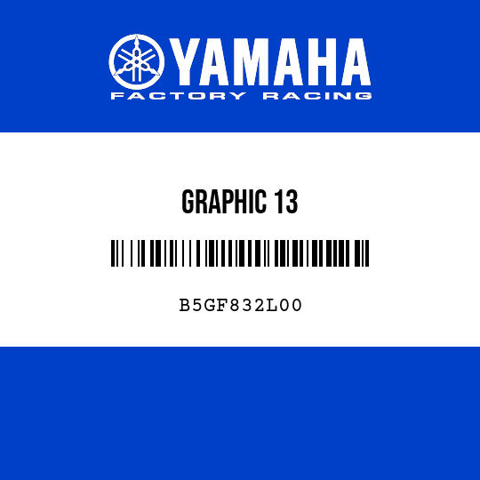 GRAPHIC 13