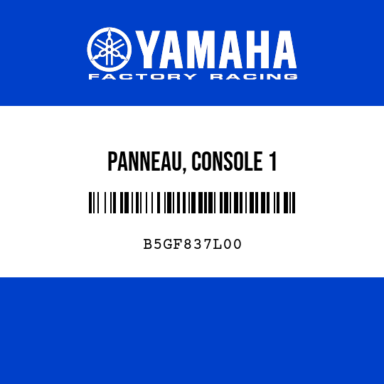 PANNEAU, CONSOLE 1