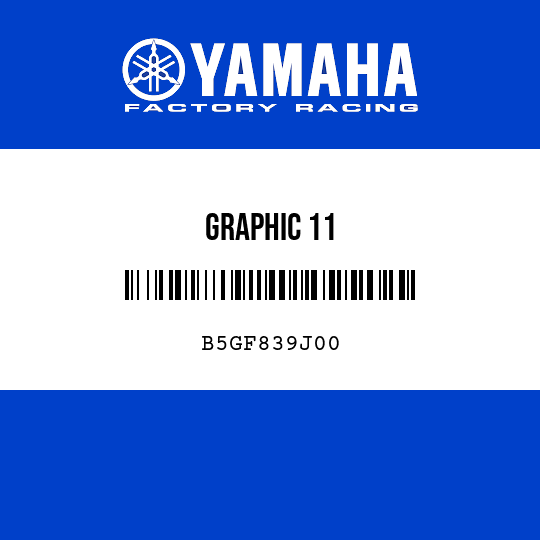 GRAPHIC 11