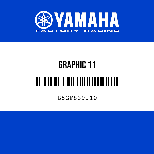GRAPHIC 11