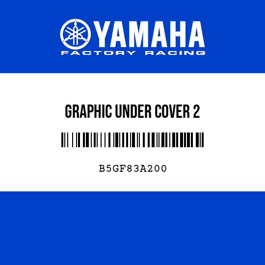GRAPHIC UNDER COVER 2
