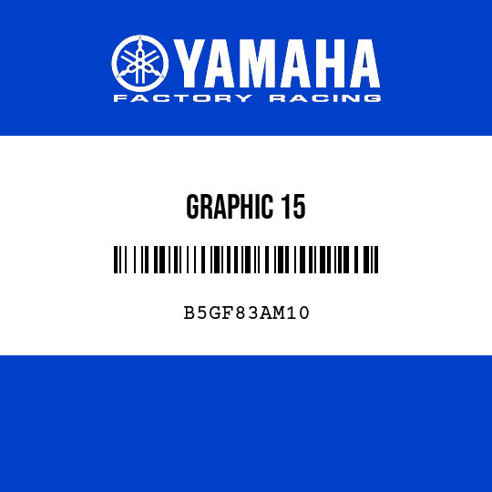 GRAPHIC 15