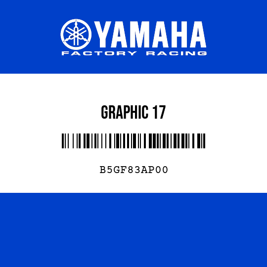 GRAPHIC 17