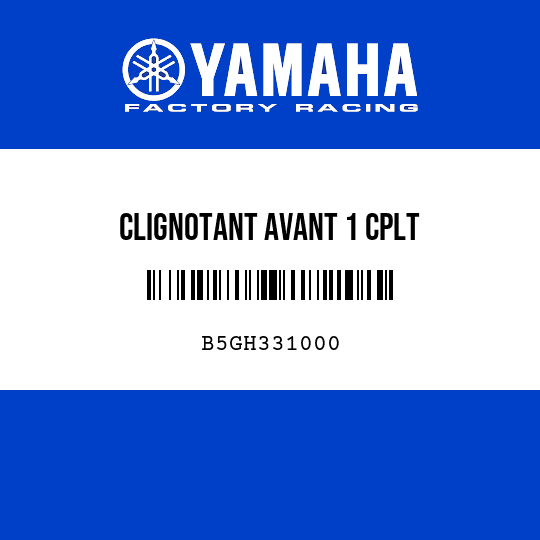 CLIGNOTANT AVANT 1 CPLT