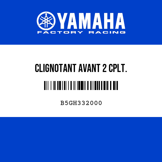 CLIGNOTANT AVANT 2 CPLT.