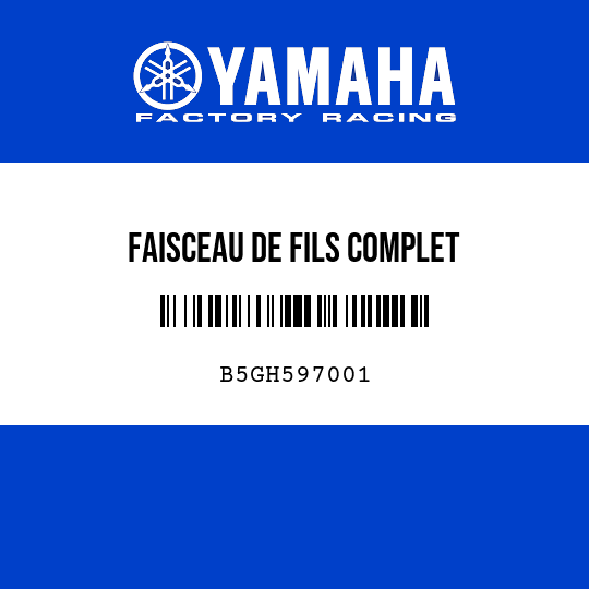 FAISCEAU DE FILS COMPLET