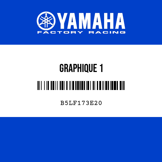 GRAPHIQUE 1