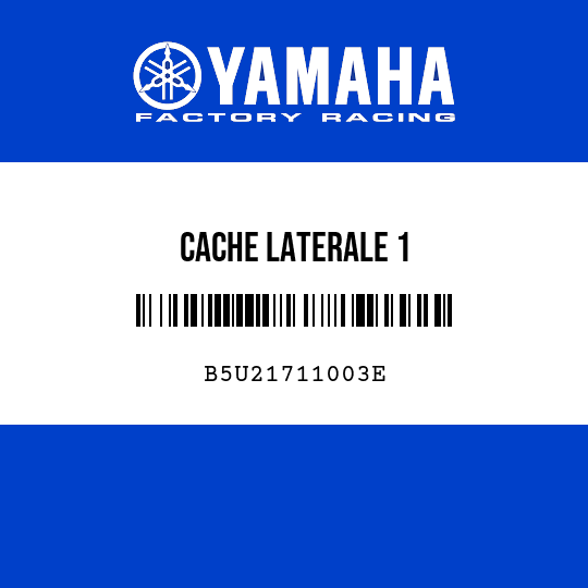 CACHE LATERALE 1