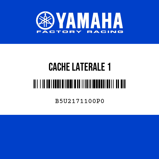CACHE LATERALE 1