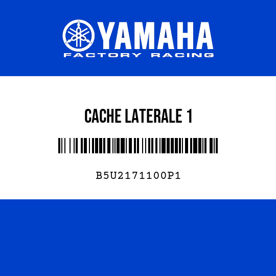 CACHE LATERALE 1