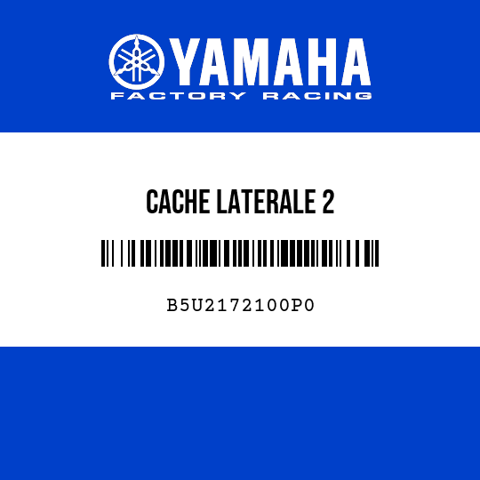 CACHE LATERALE 2