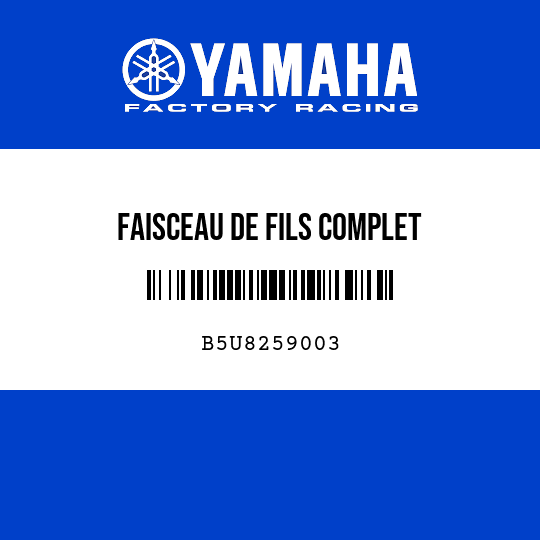 FAISCEAU DE FILS COMPLET