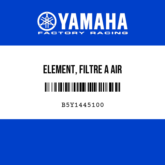 ELEMENT, FILTRE A AIR
