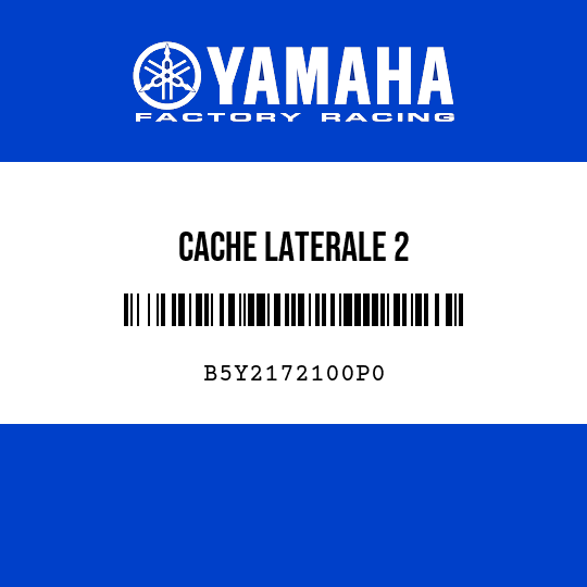 CACHE LATERALE 2