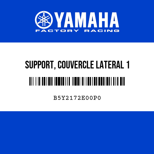 SUPPORT, COUVERCLE LATERAL 1