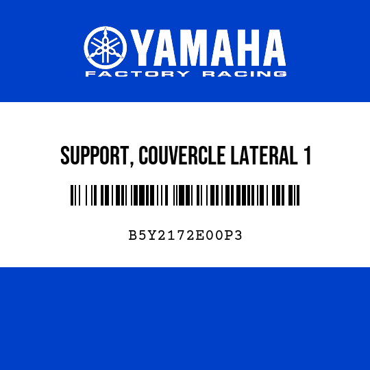 SUPPORT, COUVERCLE LATERAL 1