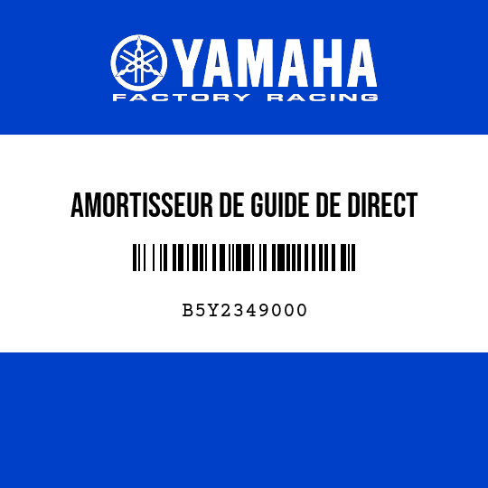 AMORTISSEUR DE GUIDE DE DIRECT