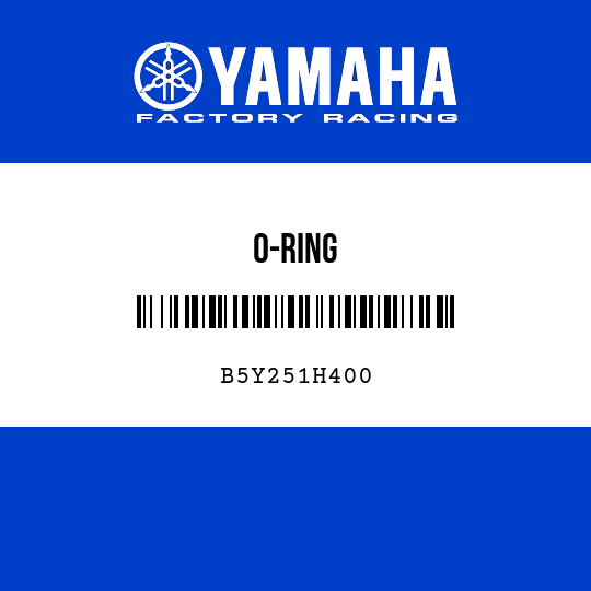 O-RING
