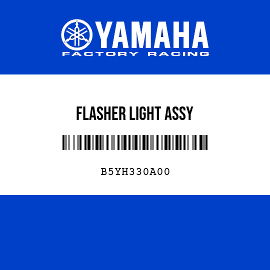 FLASHER LIGHT ASSY