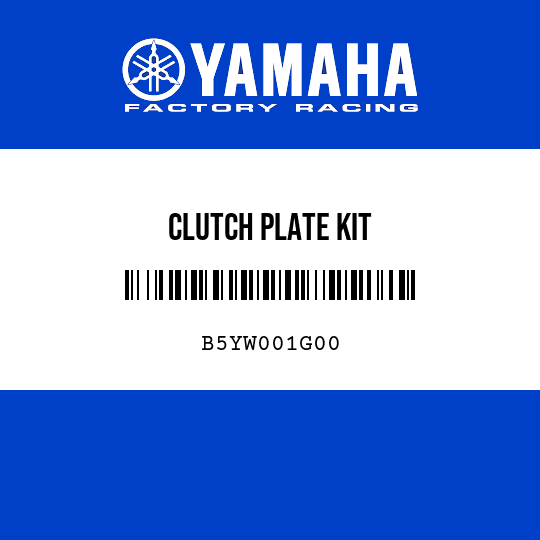 CLUTCH PLATE KIT