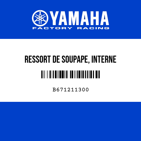 RESSORT DE SOUPAPE, INTERNE