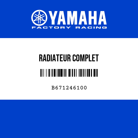 RADIATEUR COMPLET