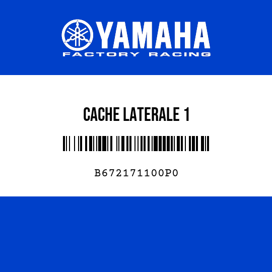 CACHE LATERALE 1