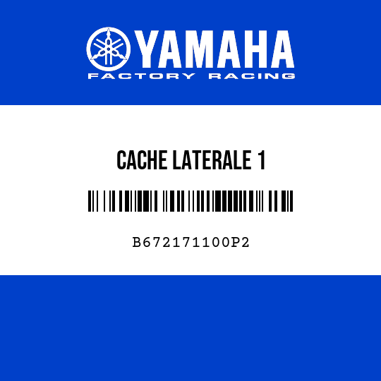 CACHE LATERALE 1