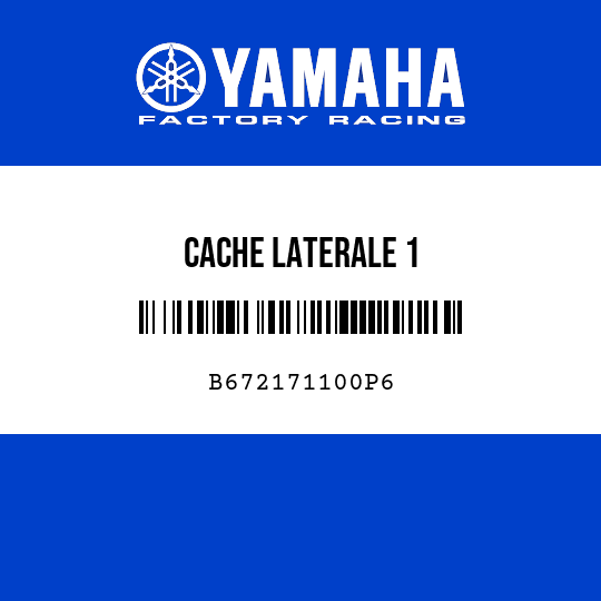 CACHE LATERALE 1