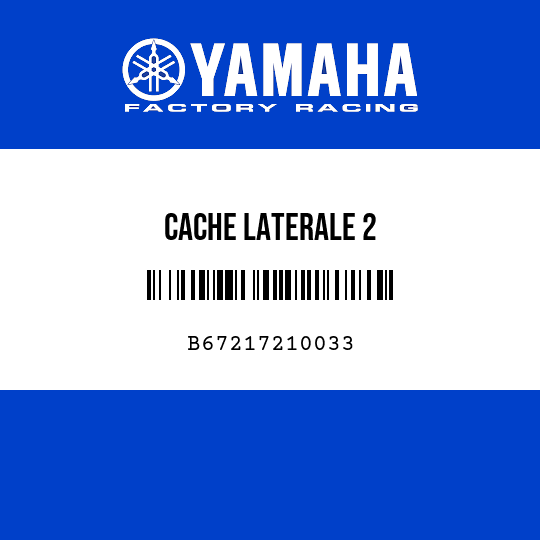 CACHE LATERALE 2