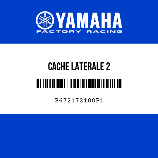 CACHE LATERALE 2
