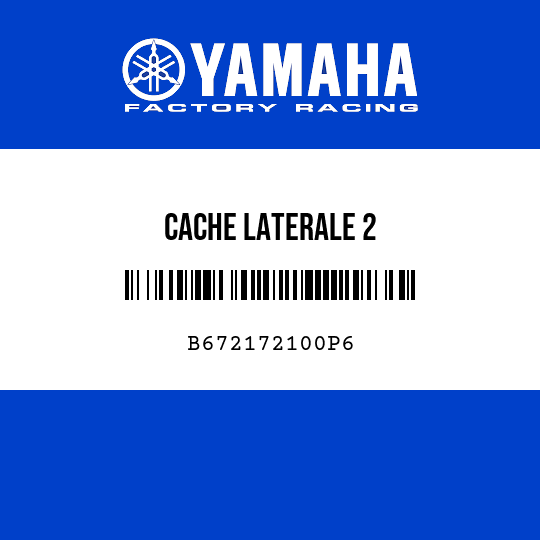 CACHE LATERALE 2