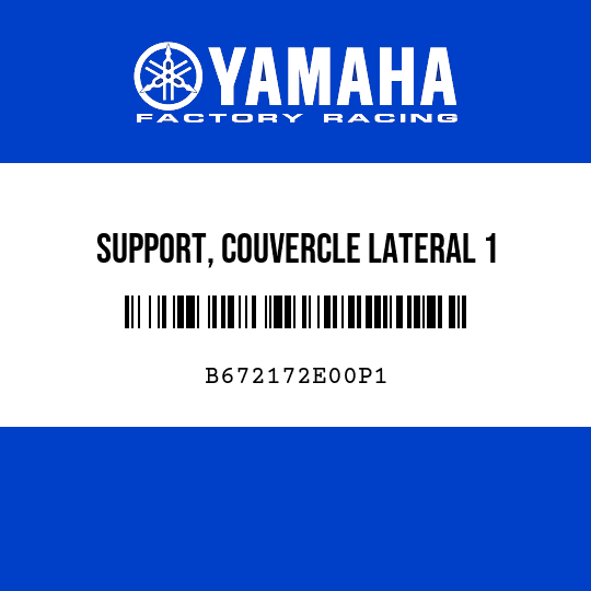 SUPPORT, COUVERCLE LATERAL 1