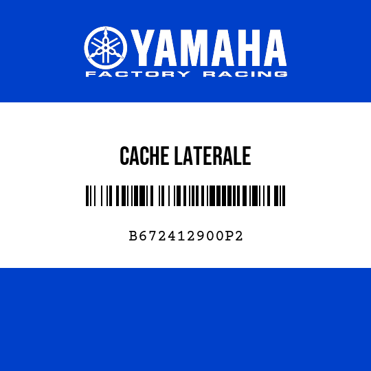 CACHE LATERALE