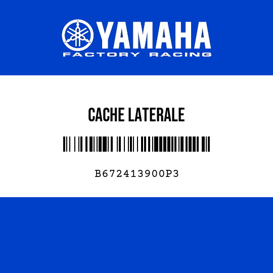 CACHE LATERALE