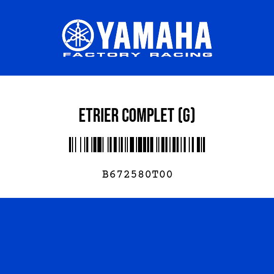 ETRIER COMPLET (G)
