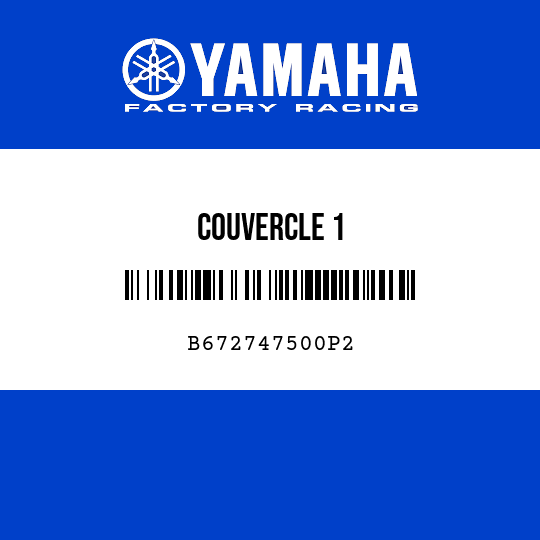 COUVERCLE 1
