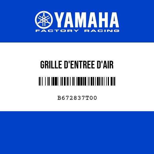 GRILLE D'ENTREE D'AIR