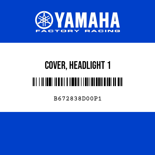 COVER, HEADLIGHT 1
