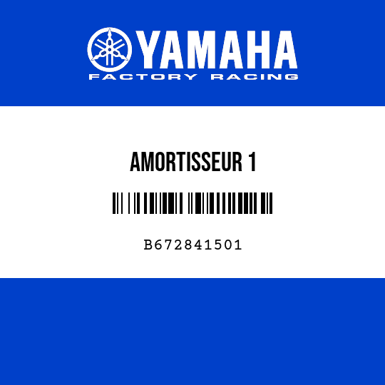 AMORTISSEUR 1