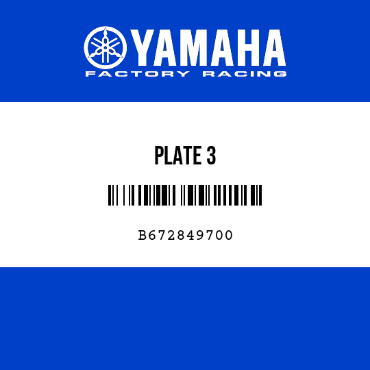 PLATE 3