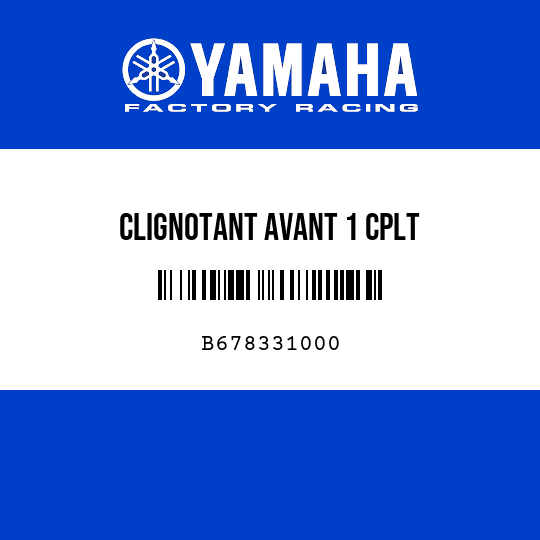 CLIGNOTANT AVANT 1 CPLT