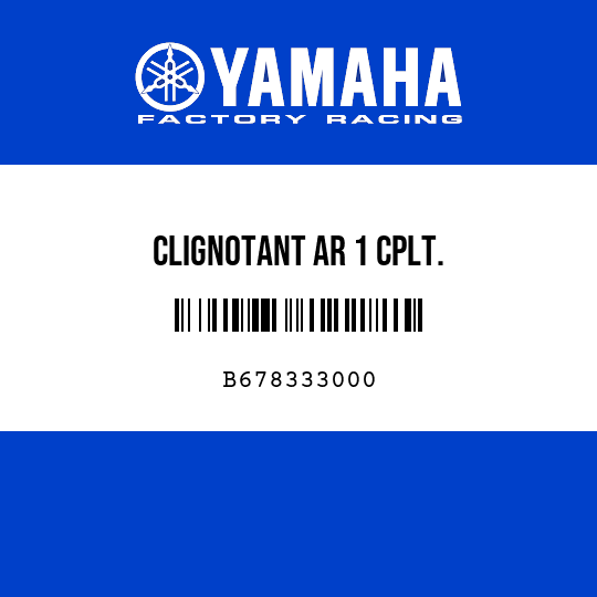 CLIGNOTANT AR 1 CPLT.