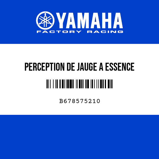 PERCEPTION DE JAUGE A ESSENCE