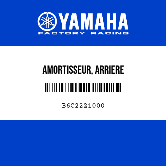 AMORTISSEUR, ARRIERE